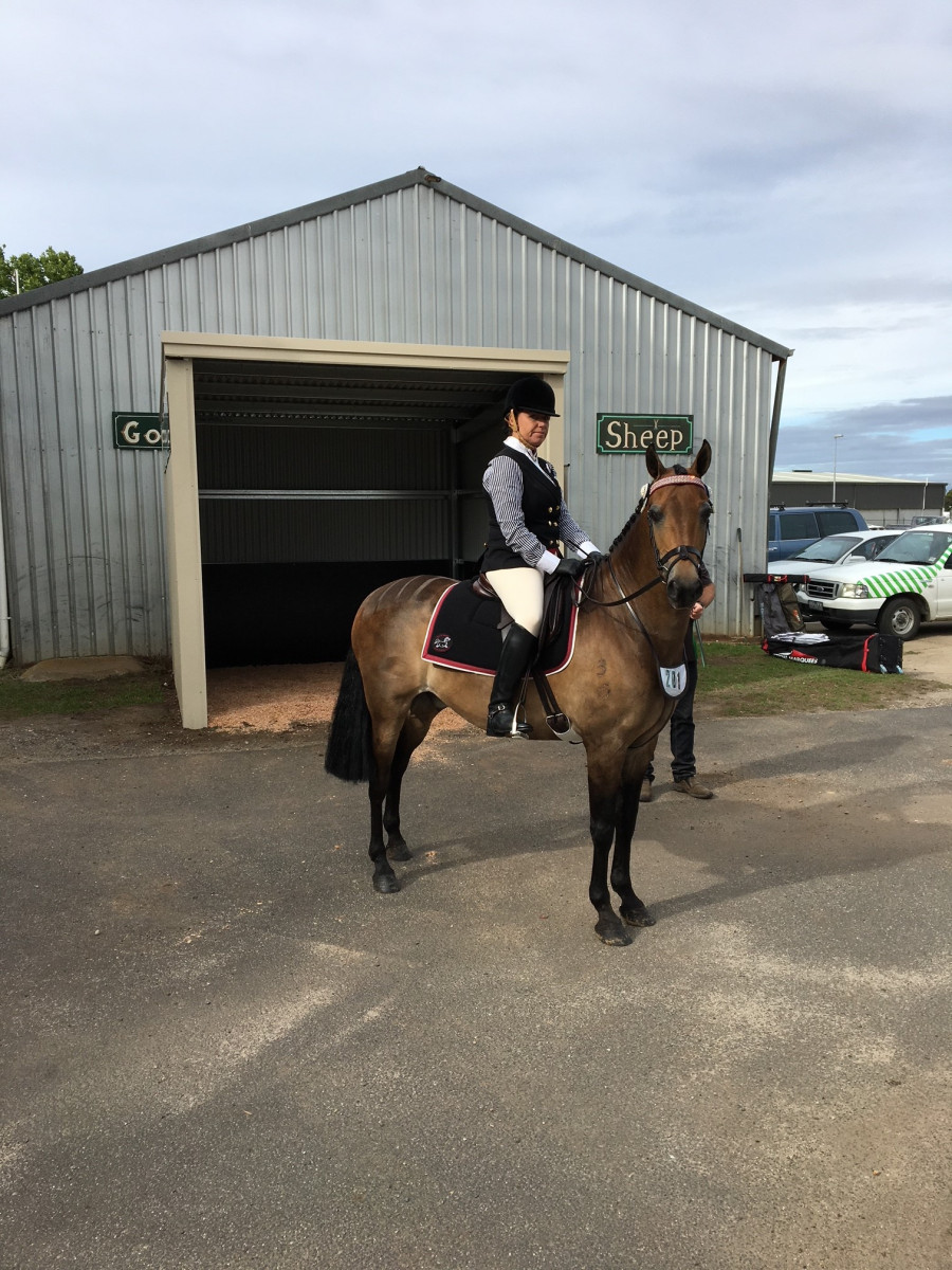 Horse Shelters | Riviera Barns &amp; Garages